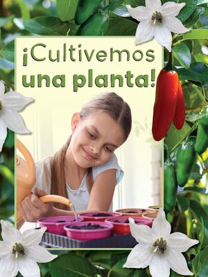 cover image of ¡Cultivemos una planta! (Let's Grow a Plant!)